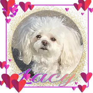 Meet your Posher, Kathi